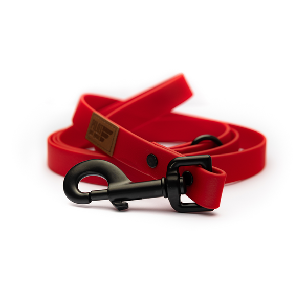 Red Sport Leash