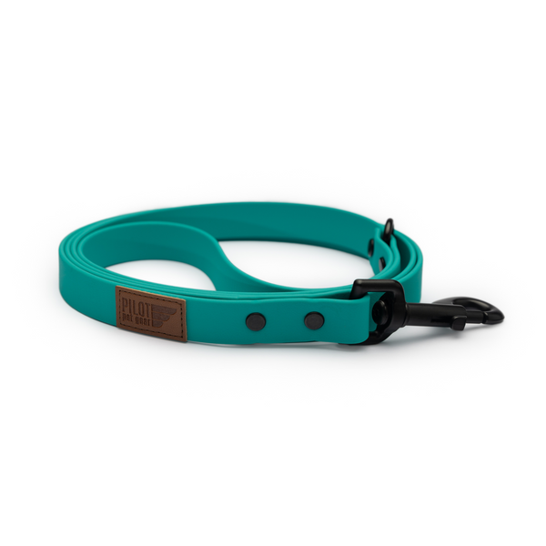 Teal Sport Leash