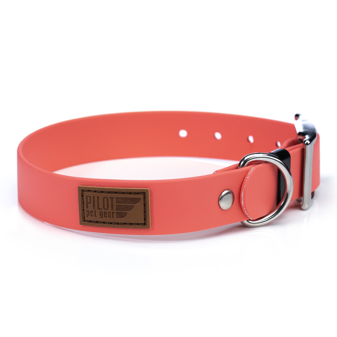 Waterproof leather cheap dog collar